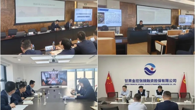 半岛体育举办2025年度协同项目推进会暨协同风险防控专题培训